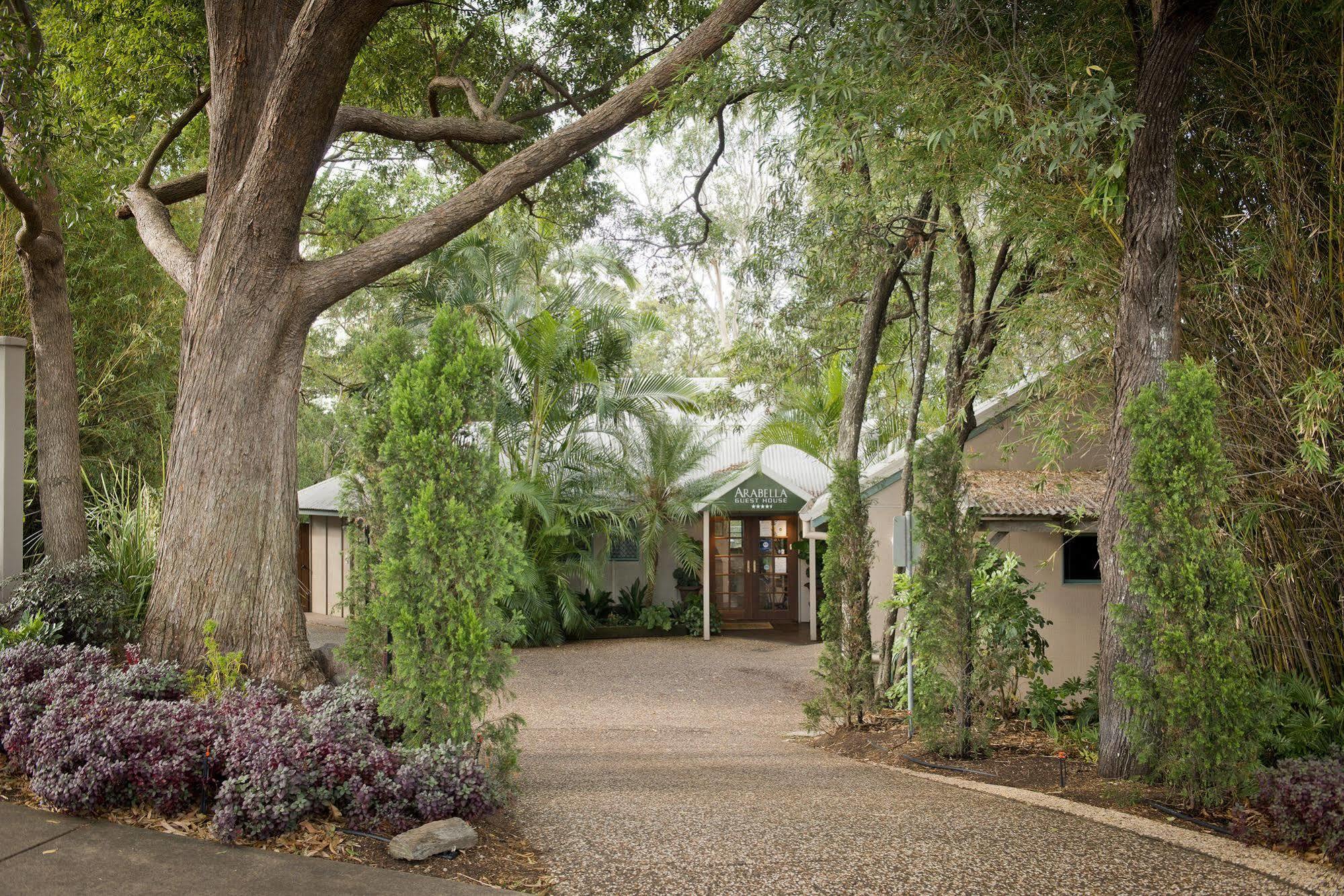 Arabella Guesthouse Alexandra Headland Exterior foto